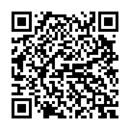 QR code for DH303B