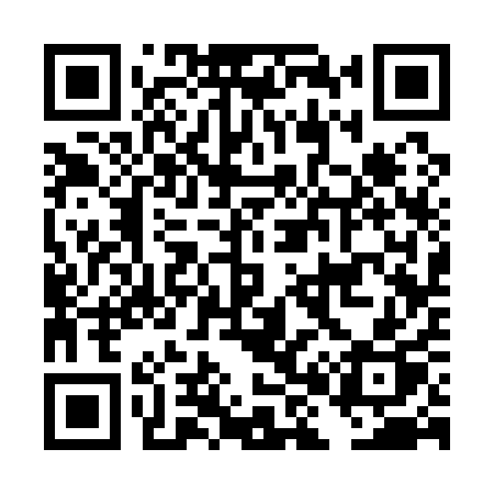 QR code for DH311P