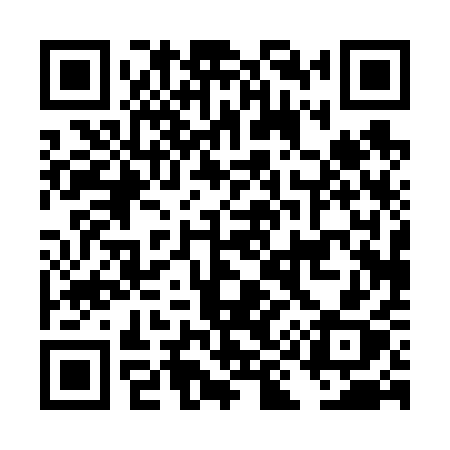 QR code for DI061X