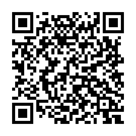 QR code for DI290C