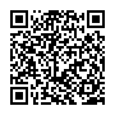 QR code for DIIC25