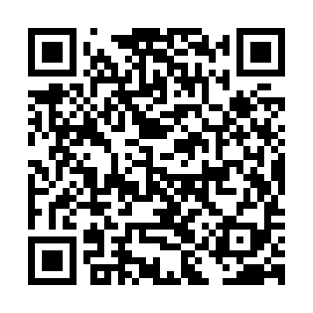 QR code for DIYZ99