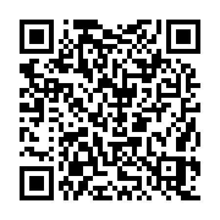 QR code for DJ297S