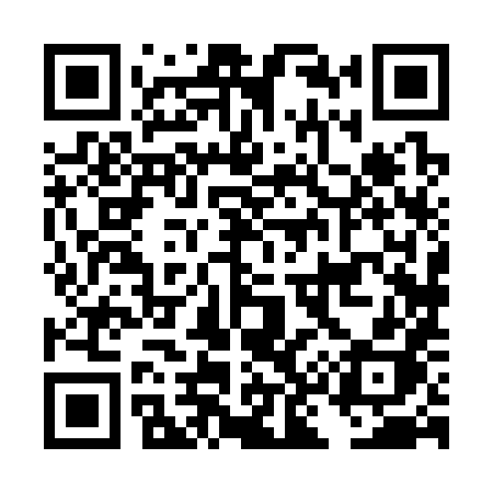 QR code for DK838H