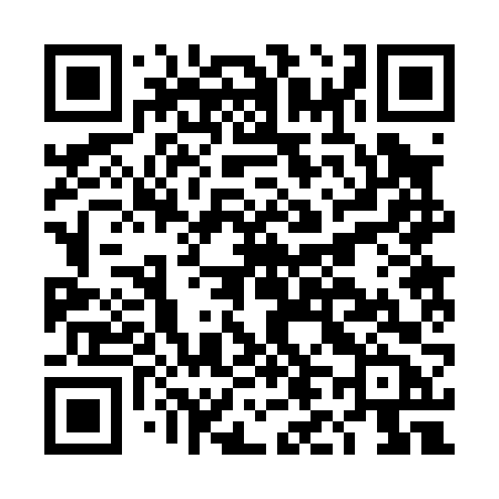 QR code for DL206B