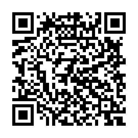 QR code for DL289H