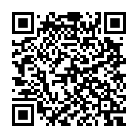 QR code for DL306E