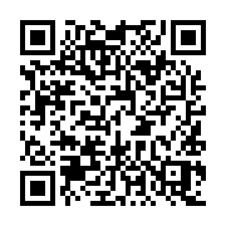 QR code for DL419P
