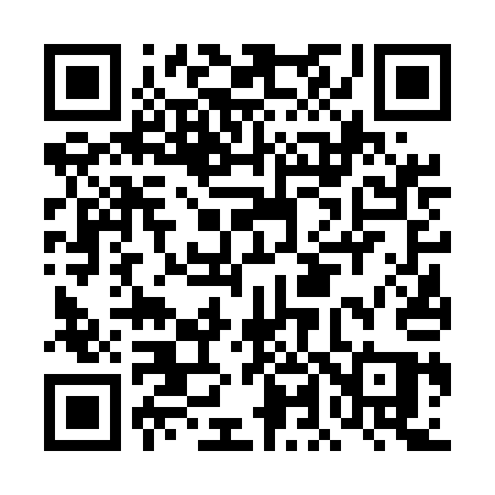 QR code for DL65AQ