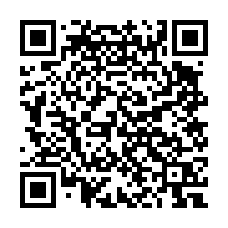 QR code for DL747Q