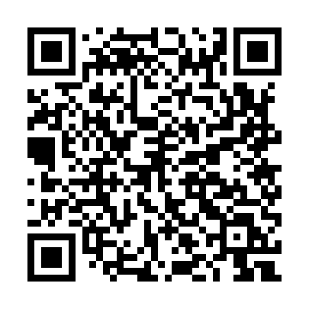 QR code for DLG95L