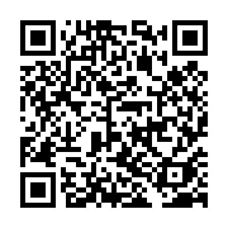 QR code for DLO41I