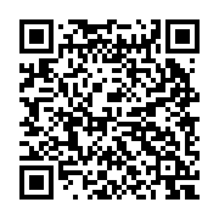 QR code for DLP29F