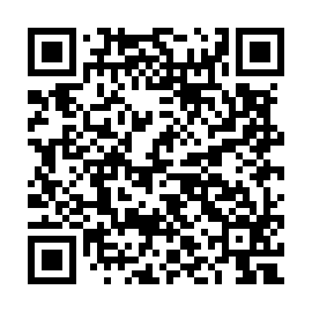 QR code for DLQM96