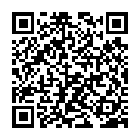 QR code for DLSF28