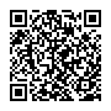 QR code for DM198P