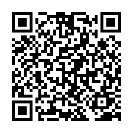 QR code for DM517T