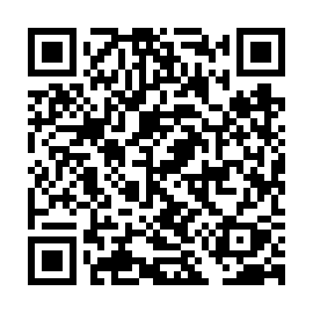 QR code for DM96SY
