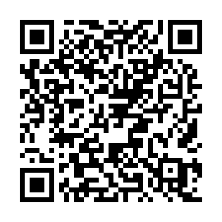 QR code for DM994A