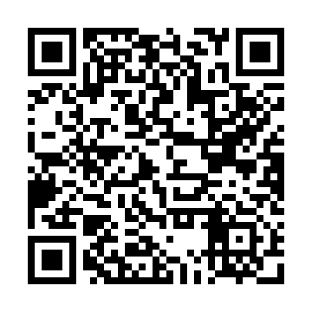 QR code for DMQC13