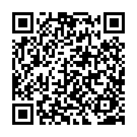 QR code for DN80ZO