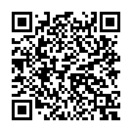 QR code for DN95SP