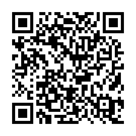 QR code for DP196E