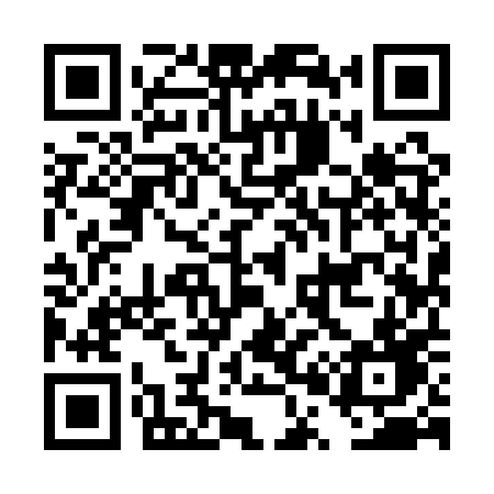 QR code for DP91PD
