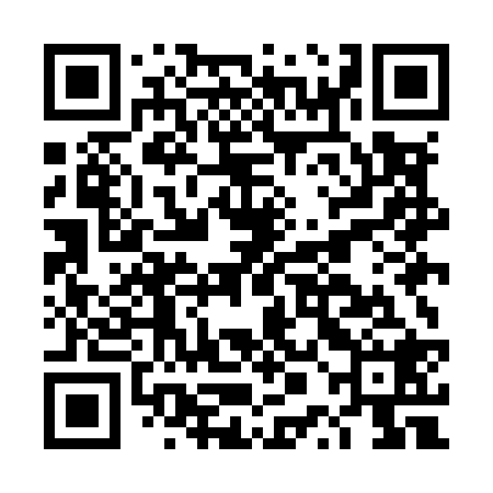 QR code for DPMM28