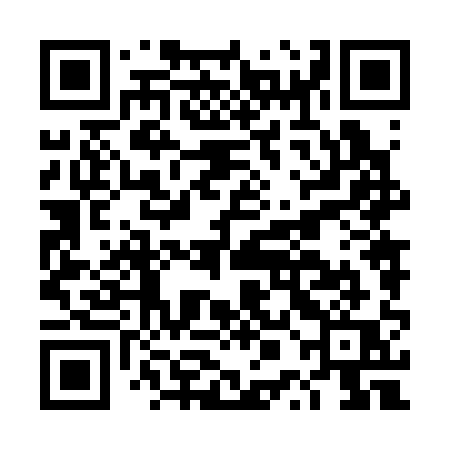 QR code for DPN31Q