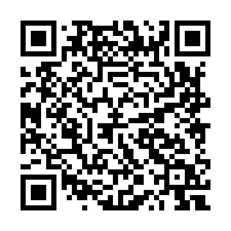 QR code for DPX91T