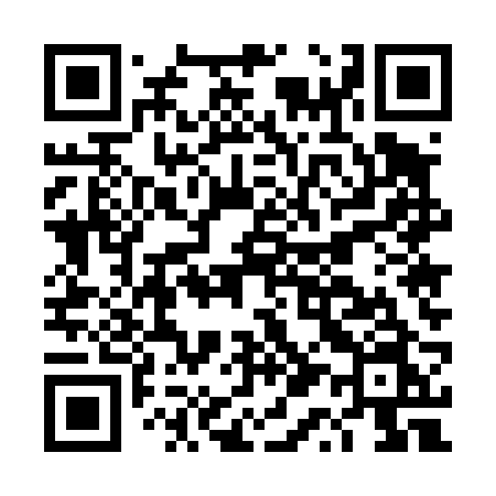 QR code for DQ542N