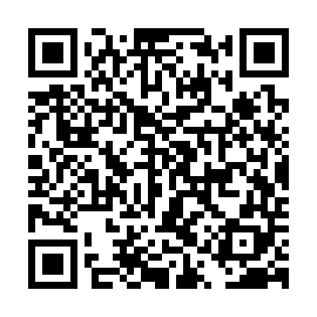 QR code for DQSS48