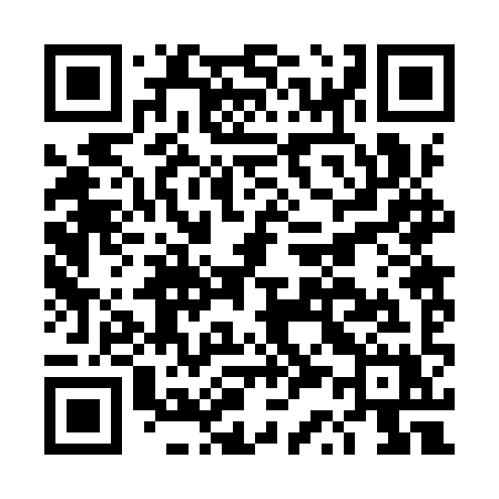 QR code for DS29YX