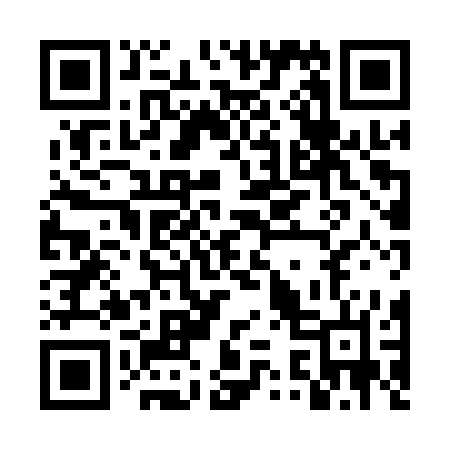 QR code for DS81SN