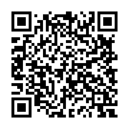 QR code for DSD80X