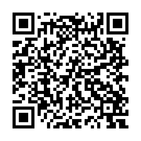 QR code for DSME46