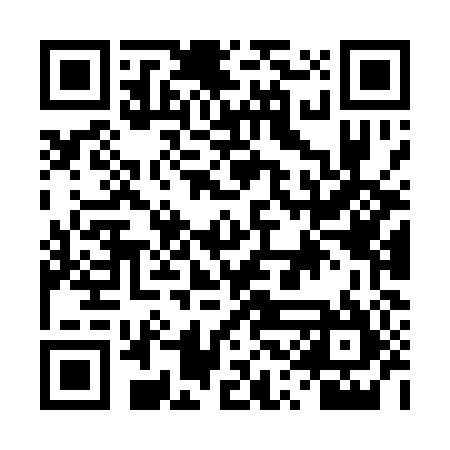 QR code for DSMQ85