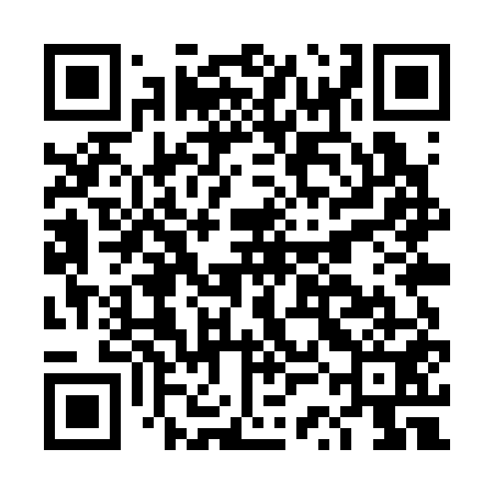 QR code for DSMS51