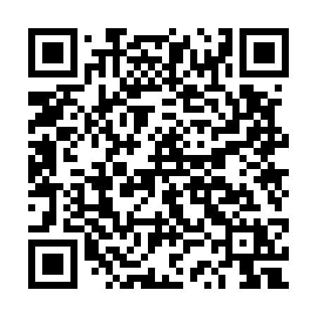 QR code for DSO53X
