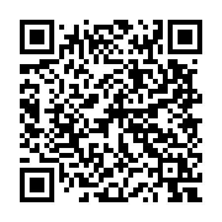 QR code for DSP55X