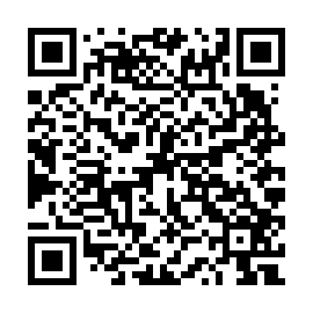 QR code for DSVF06