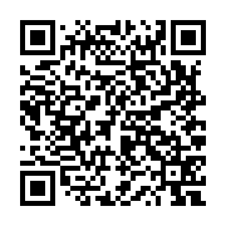 QR code for DSVI75
