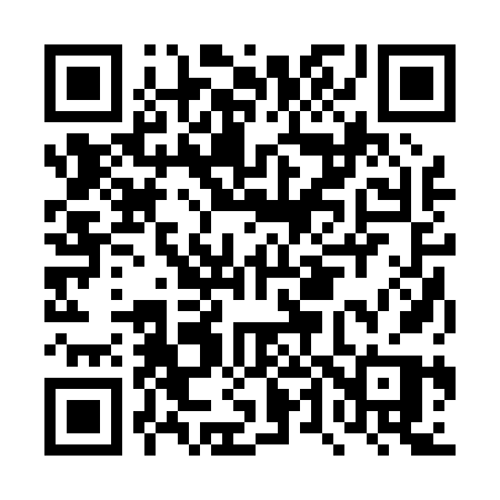 QR code for DT206P