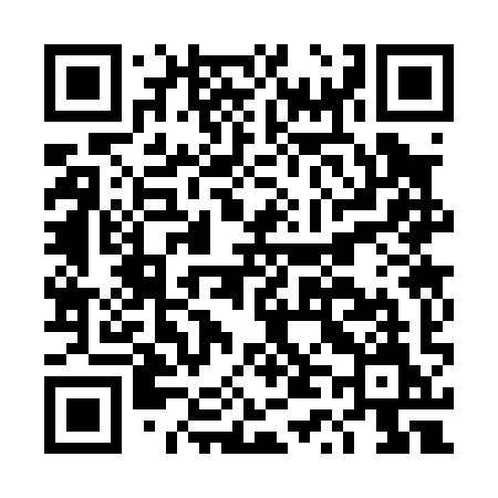 QR code for DT309M