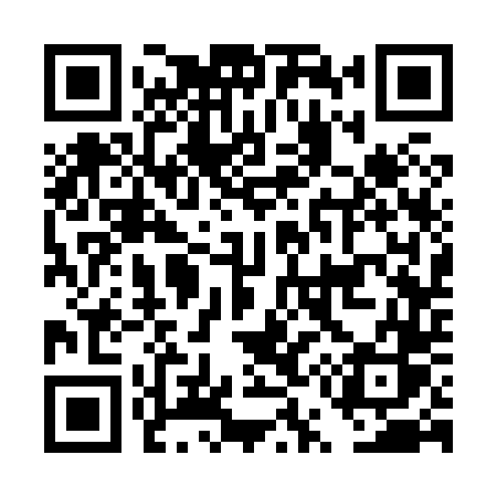 QR code for DU384S