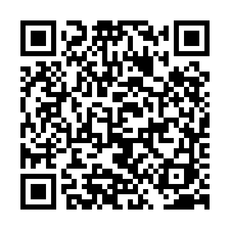 QR code for DV31FI