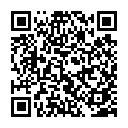 QR code for DV969A
