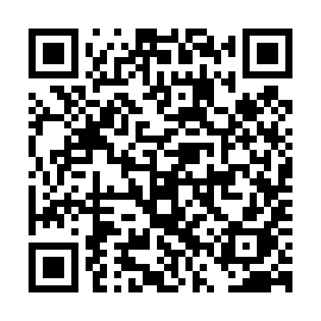 QR code for DVS49H