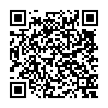 QR code for DVZL33